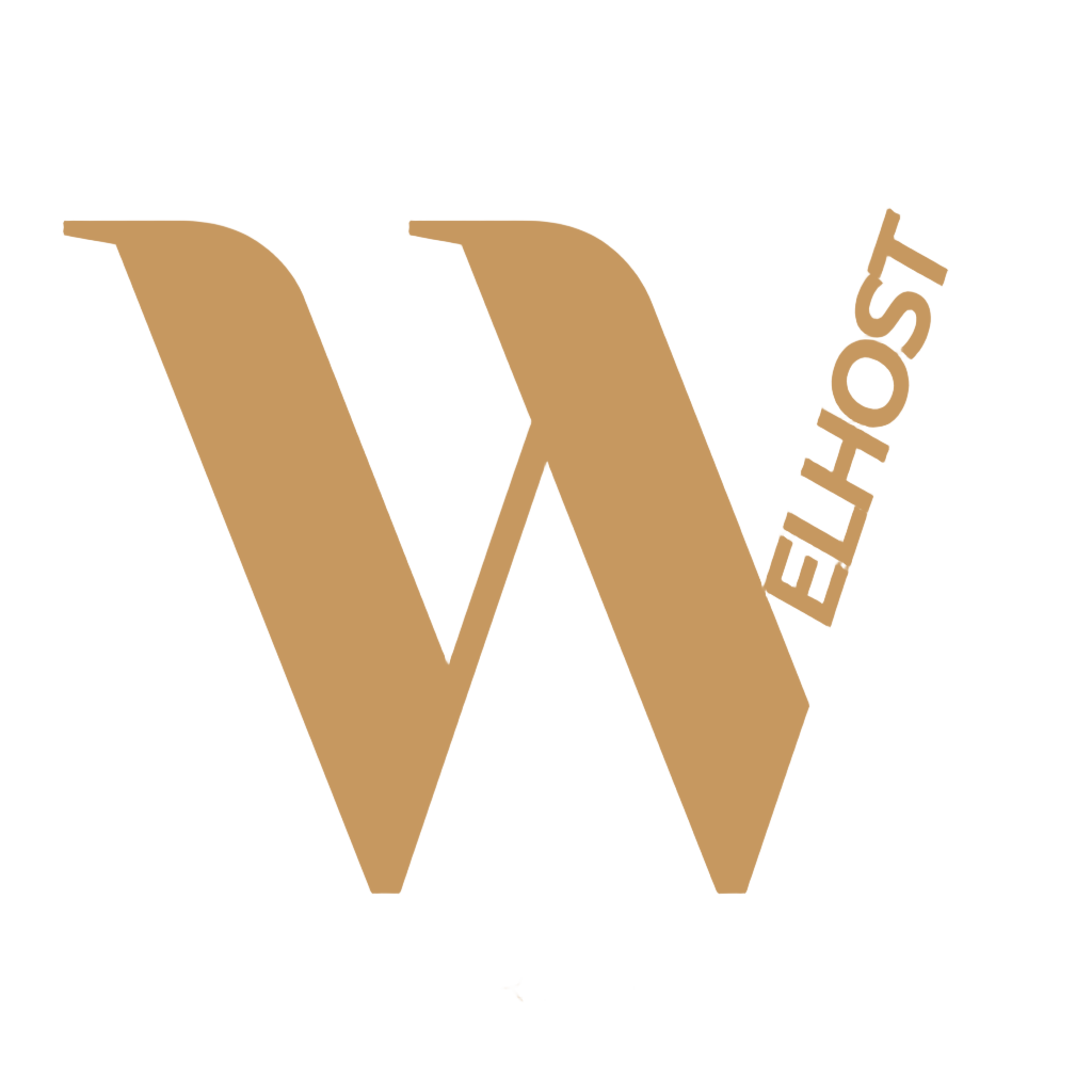WelHost Experiences logo